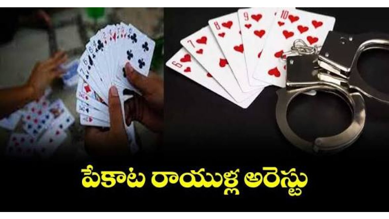 పేకాట రాయుళ్ళ అరెస్ట్ 