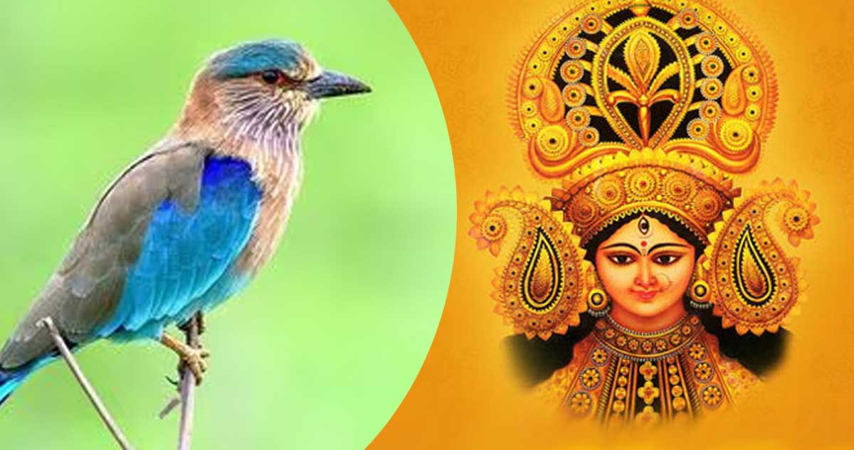 దసరా ప్రత్యేక కథనం, రిపోర్టర్ భూమేశ్వర్, తెలంగాణ గళం: